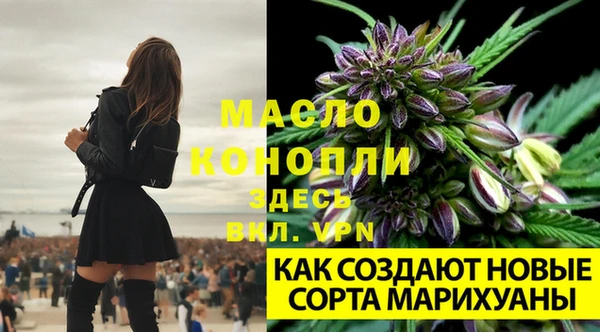 амф Новокубанск