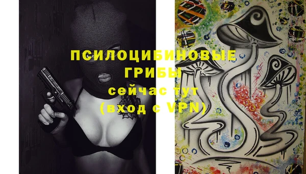 бутират Нягань