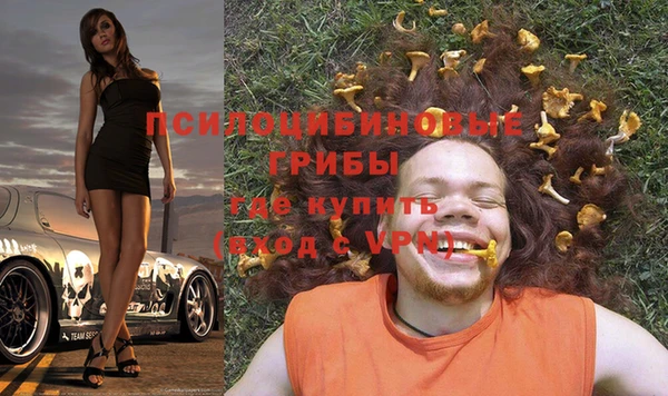 mdpv Болхов