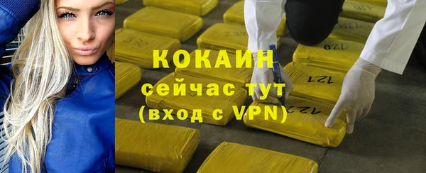 твердый Болотное
