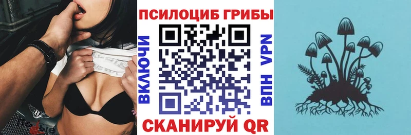 сколько стоит  Стрежевой  darknet состав  Галлюциногенные грибы Psilocybine cubensis 